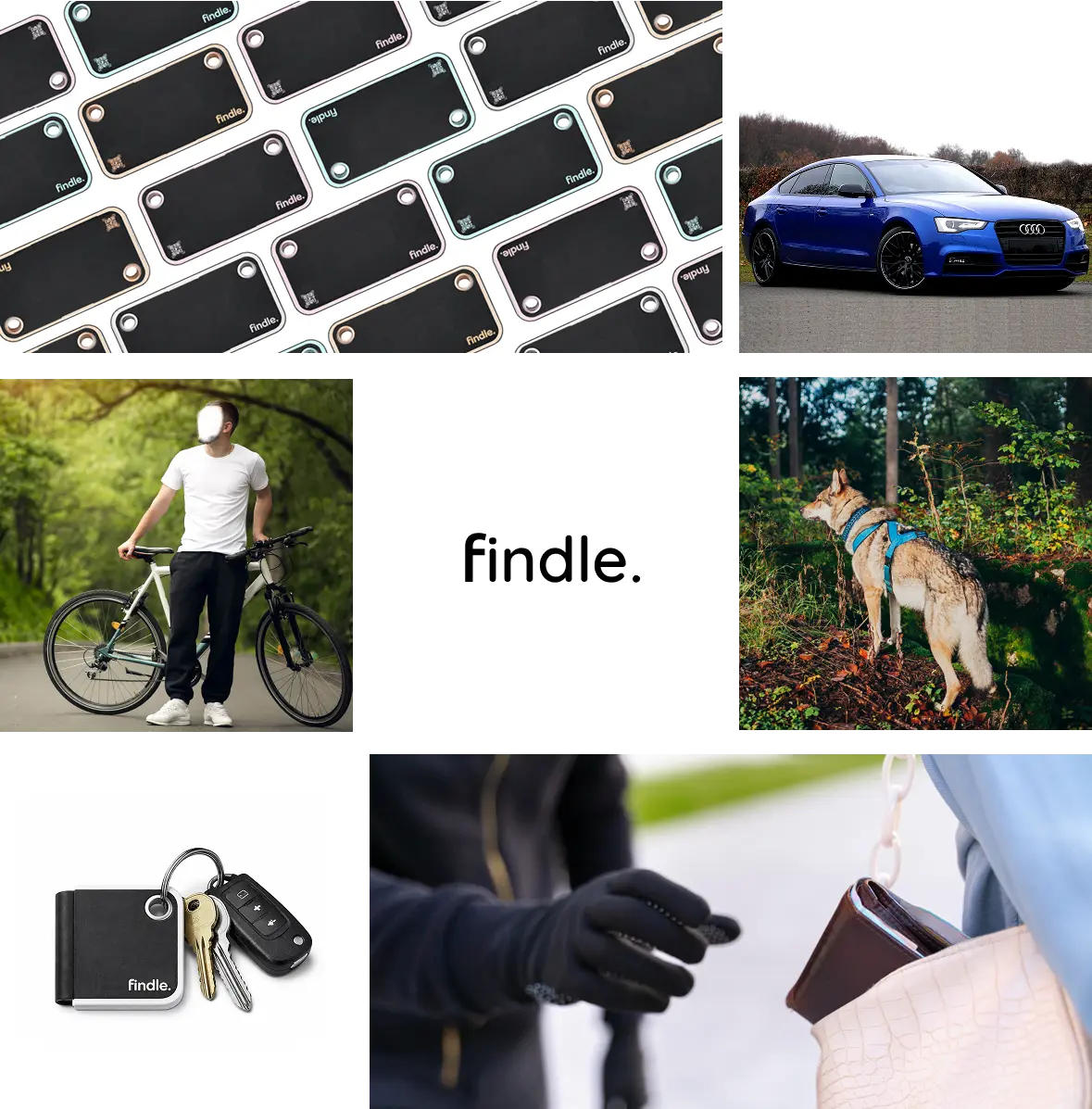 Findle tracking examples